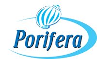 b2b company Logo