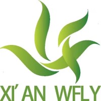 b2b company Logo