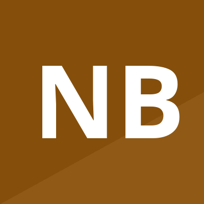 Nanjing Binzhenghong Instrument Co., Ltd. logo