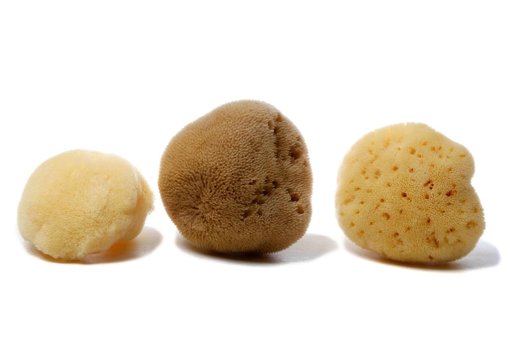 Fine Silk Sponges