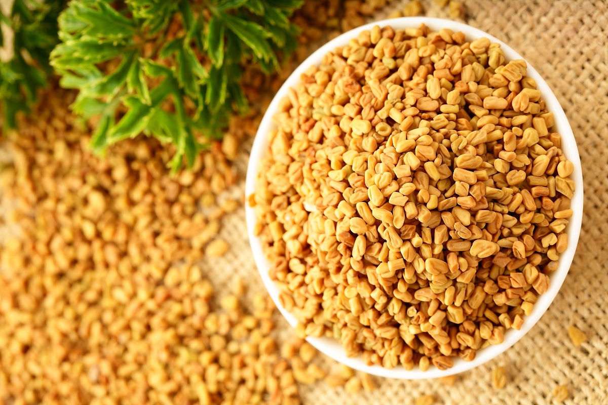 Fenugreek Seeds from India