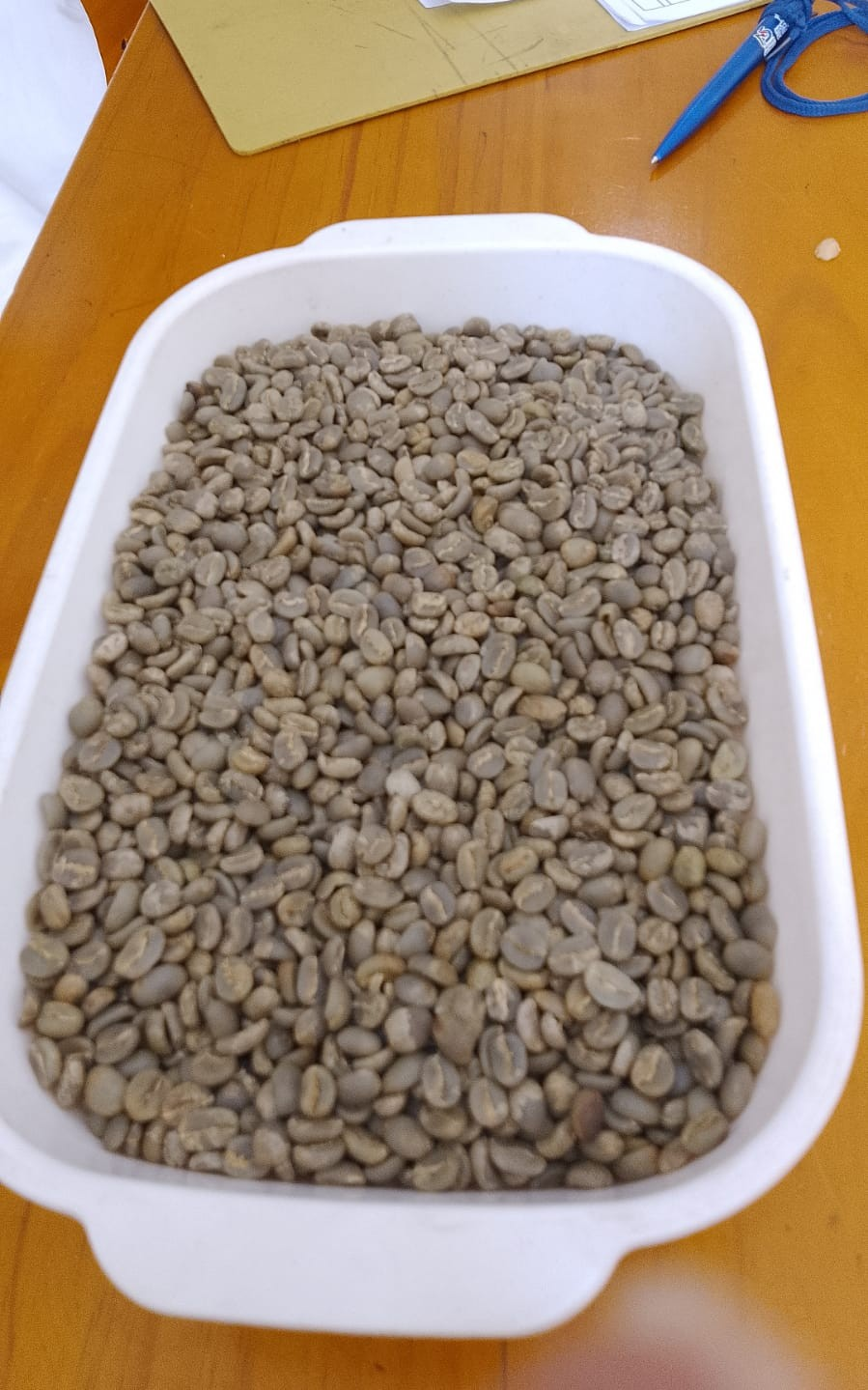 Green Coffee Beans