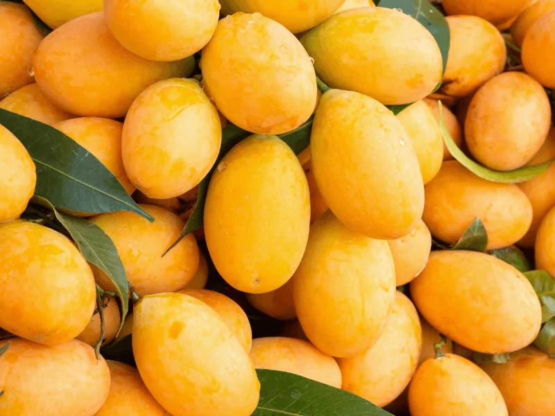 Fresh Fruits from Pakistan