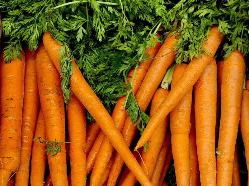 Fresh Vegetables from Pakistan - photo 2