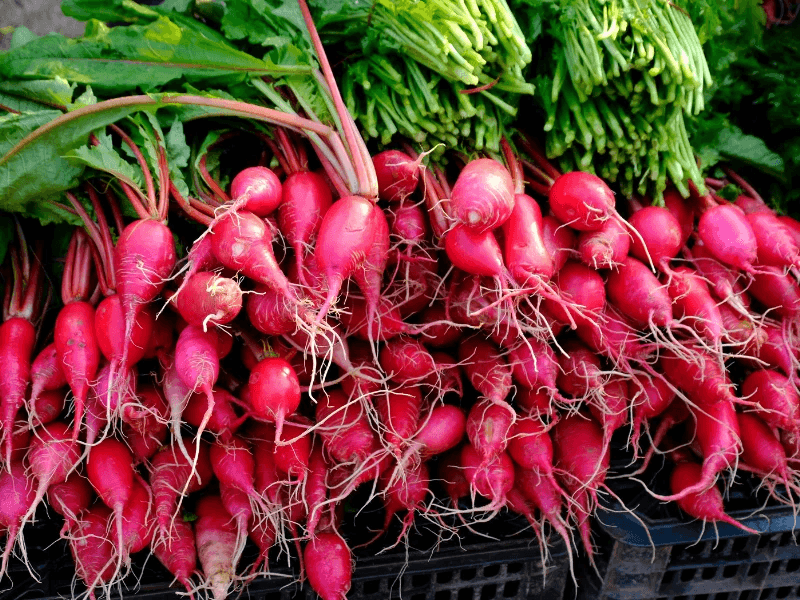 Fresh Vegetables from Pakistan - photo 6