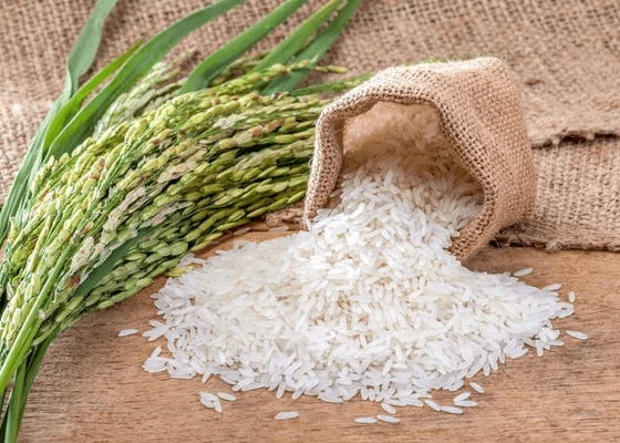 PK-386 Long Grain Rice