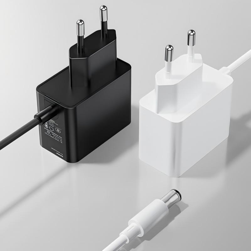 5V 2A EU Plug Power Adapter - SK01HB-001