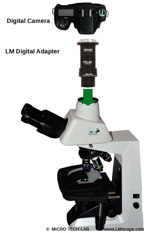 Electronic Camera System For Microscope