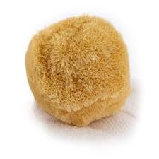 Grass Sponges