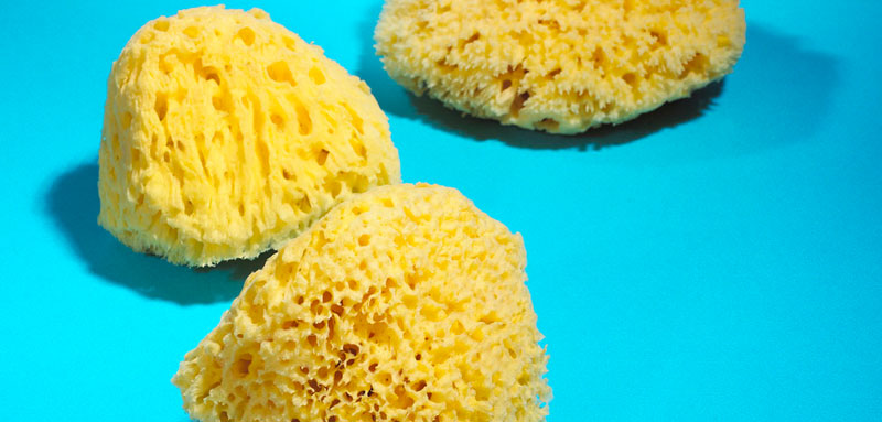 Honeycomb Sponge
